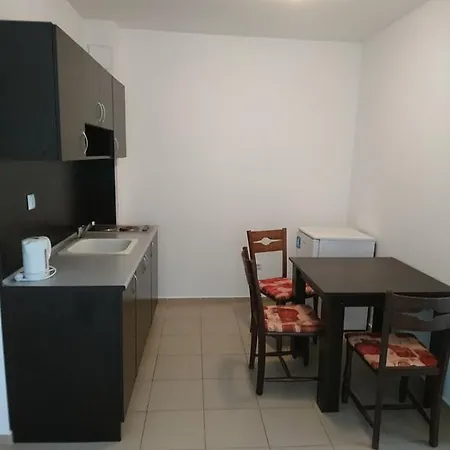 Royal Palm Szveti Vlasz