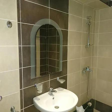 Royal Palm Szveti Vlasz