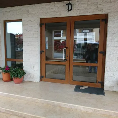 Royal Palm Szveti Vlasz