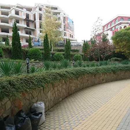 Royal Palm Szveti Vlasz