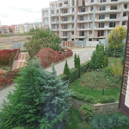 Royal Palm Szveti Vlasz