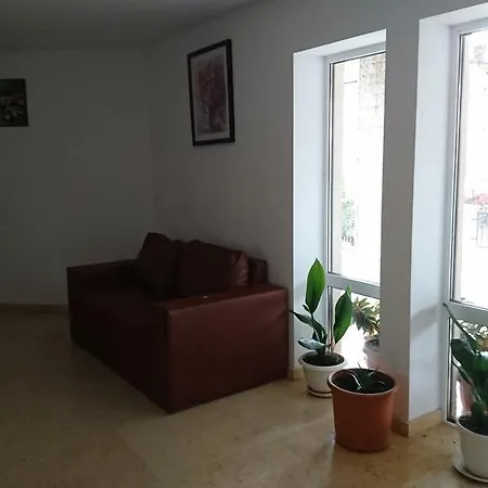 Royal Palm سفيتي فلاس