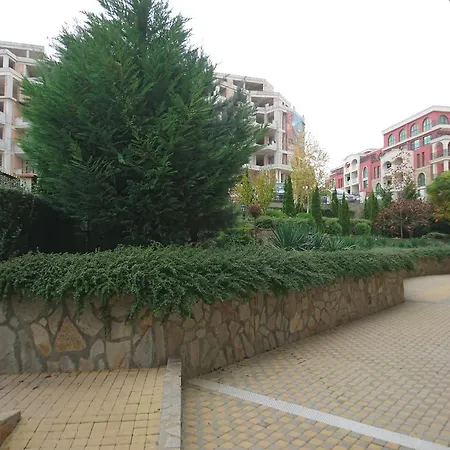 Royal Palm 스베티 블라스
